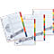 Intercalaires de couleurs en carton, avec page de garde, A4+ (extra large), 10 divisions (5 couleurs)