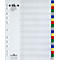 Intercalaires en PP DURABLE, 20 feuilles, ultra-large