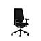 Interstuhl Bürostuhl Joyceis3 JC266, mit Armlehnen, 3D-Synchronmechanik, Flachsitz, Netzrücken, schwarz/schwarz