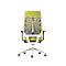 Interstuhl chaise de bureau JOYCE is3, mécanisme synchrone, accoudoirs, soutien lombaire FlexGrid, dossier résille, assise plate, gris clair/vert maïs