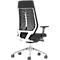 Office chair, black and white, view from the back, mesh backrest.