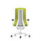 Back view of an ergonomic office chair in green and white.