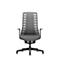 Gray office chair with mesh back, armrests, and casters against a white background.