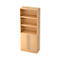 JENA combi-boekenkast, 5 OH, 3 open vakken + 2 deuren, B 800 x D 420 x H 2004 mm, ahorndecor