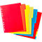 Kartonnen index Herlitz, A4, blanco tabbladen, Europerforatie, gerecycleerd karton, 1 set van 10 stuks met 2 x 5 kleuren