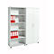 Kast, hout, 4 legborden, 5 ordnerhoogten, B 800 x D 400 x H 1877 mm, afsluitbaar, lichtgrijs 