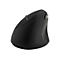 Kensington Pro Fit Ergo Wireless Mouse - vertikale Maus - 2.4 GHz