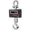 Hanging scale with digital display 0.0 kg. Black case, red display, hooks at top and bottom.
