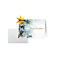 Kerstmotief kaart 'Eucalyptus magic', A6 (A5), 250g/m², 25 stuks, wit karton, inkjet &amp; laser printer