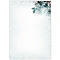 Kerstmotief papier 'Eucalyptus magic', 90g fijn papier, FSC Mix Credit, inkjet &amp; laser printer, 100 vellen, DIN A4