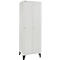 Kledinglocker - stalen - 2 compartimenten - met voeten - B 630 x D 500 X H 1850 mm- hoedenplank, kledingstang - met draaigrendelslot - lichtgrijs/lichtgrijs - ons merk Schäfer Shop Pure