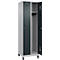 Kleiderspind C+P Evolo Plus, 2 Abteile, 300 mm Abteilbreite, mit Füßen, Anschlag rechts, Zylinderschloss, B 600 x T 500 x H 1950 mm, weißaluminium/anthrazitgrau