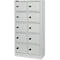 Kluis met 10 afsluitbare compartimenten - metaal - B 390 x D 200 x H 780 mm - lichtgrijs RAL 7035 - met metalen afdekplaat - ons merk Schäfer Shop Select