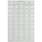 kluis met 50 afsluitbare compartimenten - metaal - B 980 x D 200 x H 1530 mm - lichtgrijs RAL 7035 - met metalen afdekplaat. - ons merk Schäfer Shop Select