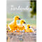 Korsch Bildkalender 'Tierkinder 2025', B 235 x H 335 mm