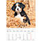 Korsch Bildkalender 'Tierkinder 2025', B 235 x H 335 mm