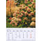 Un calendrier de novembre 2027 avec un gros plan sur des fleurs dans un jardin. Un arbre est visible en arrière-plan.