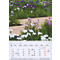 Calendrier de mai 2027 avec prairie fleurie, passerelle en bois et fleurs d'iris de différentes couleurs.