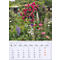 Une page de calendrier de juillet 2027 avec des fleurs colorées et un jardin luxuriant.