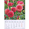 Gros plan sur des fleurs de dahlias rouges sur fond de feuilles vertes. En dessous, un calendrier pour septembre 2027.