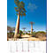 Vue sur les baobabs dans un paysage. En arrière-plan, un ciel bleu avec du texte. Calendrier de septembre 2021 dans la zone inférieure.
