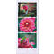 Page de calendrier avec trois images : femme avec parapluie rouge, dahlia rose, grenouille verte en fleur.