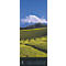 Plantation de thé vallonnée devant le mont Fuji enneigé sous un ciel bleu. La page de calendrier indique le mois d'avril.