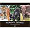 Korsch fotokalender 'Bedreigde wilde dieren 2025', B 440 x H 360 mm