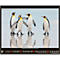Korsch fotokalender 'Bedreigde wilde dieren 2025', B 440 x H 360 mm