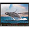 Korsch Fotokalender 'Bedrohte Tierwelt 2025', B 440 x H 360 mm
