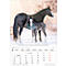 Korsch fotokalender 'Dierenkinderen 2025', B 235 x H 335 mm