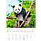 Korsch fotokalender 'Dierenkinderen 2025', B 235 x H 335 mm