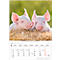 Korsch fotokalender 'Dierenkinderen 2025', B 235 x H 335 mm