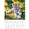 Korsch fotokalender 'Dierenkinderen 2025', B 235 x H 335 mm