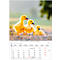 Korsch fotokalender 'Dierenkinderen 2025', B 235 x H 335 mm
