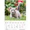 Korsch fotokalender 'Dierenkinderen 2025', B 235 x H 335 mm