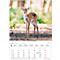 Korsch fotokalender 'Dierenkinderen 2025', B 235 x H 335 mm