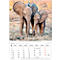 Korsch fotokalender 'Dierenkinderen 2025', B 235 x H 335 mm