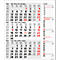 Korsch Planning 3 mois 2025 Combi, minuteur à bandes, curseur de date, L 300 x H 478 mm, gris