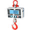 Kranwaage KERN HCD 100K-2D – Dual-Wägebereich bis 60 kg/150 kg, feine Ablesbarkeit 0,02 kg/0,05 kg