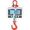 Kranwaage KERN HCD 100K-2D – Dual-Wägebereich bis 60 kg/150 kg, feine Ablesbarkeit 0,02 kg/0,05 kg