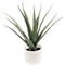 Kunstpflanze meet® by Paperflow Aloe Vera, inkl. Kunststoff-Topf, H 450 mm, PE