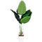 Kunstpflanze meet® by Paperflow Bananenbaum, inkl. Kunststoff-Topf, H 1150 mm, Kunststoff/Stoff
