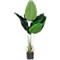Kunstpflanze meet® by Paperflow Bananenbaum, inkl. Kunststoff-Topf, H 1150 mm, Kunststoff/Stoff
