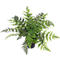 Kunstpflanze meet® by Paperflow Farn, inkl. Kunststoff-Topf, H 550 mm, PEVA