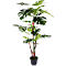 Kunstpflanze meet® by Paperflow Monstera, inkl. Kunststoff-Topf, H 1300 mm, PEVA