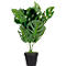 Kunstpflanze meet® by Paperflow Monstera, inkl. Kunststoff-Topf, H 450 mm, PEVA