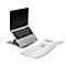 Laptop on stand, keyboard, mouse and wrist rest. White background.