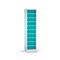 Laptopkast met laadfunctie, 10 vakken met cilinderslot, plaatstaal lichtgrijs RAL 7035 / turquoise blauw RAL 5018