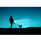 Silhouette of a person walking a dog at night, illuminated by a blue beam of light.